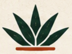 CASA NEXT LEVEL logo